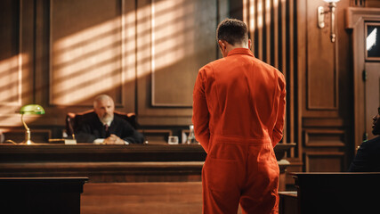 defendant standing in front of judge